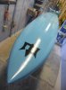 Paddle board 008.jpg