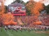 448_Balloons_Released_at_Clemson's_Memorial_Stadium.jpg