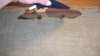 100_1678.jpg