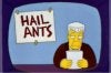 hail ants.jpg