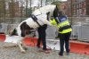 horse_police04.jpg
