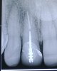 WP_20121204_001.jpg