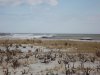 1-12-2014 sse swell 008.jpg