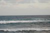 DSC_0008.jpg