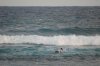 DSC_0007.jpg