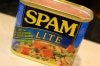 spam_001[1].jpg
