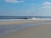 WP_003042.jpg