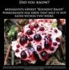Monsanto.jpg