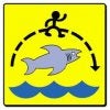 jump shark.jpg