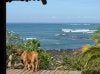 Santa Catalina 094.jpg
