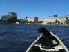 Canoedog.jpg