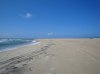 DSC09477.jpg
