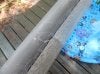 DSCN0200.jpg