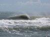 IMG_0139_crop.jpg
