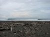 IMG_1549.jpg