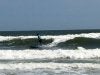IMG_0100.jpg