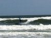 IMG_0100.jpg