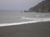P1010030.jpg