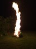 bagworm fire.jpg