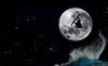 MoonShot.JPG