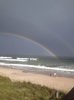 surfcity.jpg