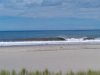 WP_002620.jpg