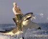 shark ride.jpg