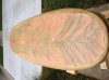 IMG_0082.jpg