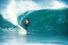 curren_servais[1].jpg
