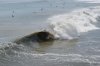 DSC03028.jpg