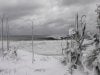 2009_0302b0027.jpg