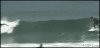 surf gif.jpg