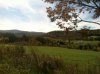 view.jpg