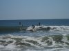 SAM_0488.jpg