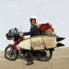 Matt-Mollusk-1.jpg