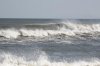 IMG_8093.jpg
