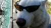 Phin 1.jpg