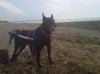 IMG00493-20120713-0835.jpg
