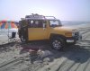 Goose & FJ at Assateague07.jpg