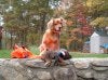 2014_1018_OpendingDay.jpg