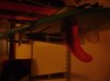DSC08131.jpg