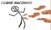 camebacon.jpg
