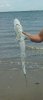 si-zach-first-shark.jpg