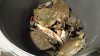 si-port-royal-crabs.jpg