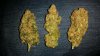 KandyKush BlueDream and Dice.jpg