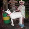 Sheep.jpg