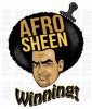 afro-sheen[1].jpg