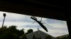 Mantis friend.jpg