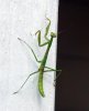 13517026003_8abe1325cd_o.jpg