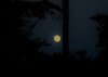 Full moon June 2012 (8).jpg